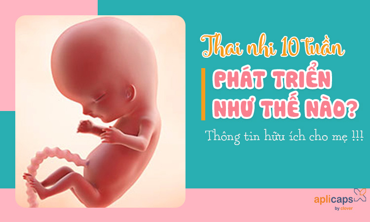 thai-nhi-10-tuan-tuoi