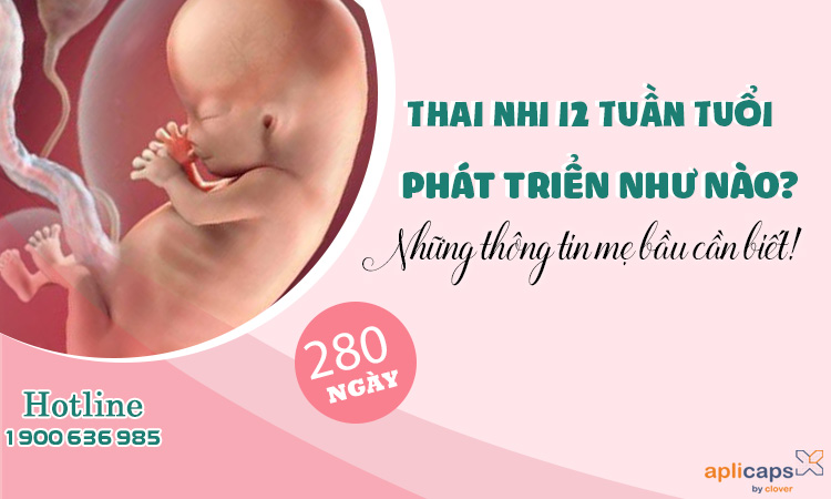 thai-nhi-tuan-12