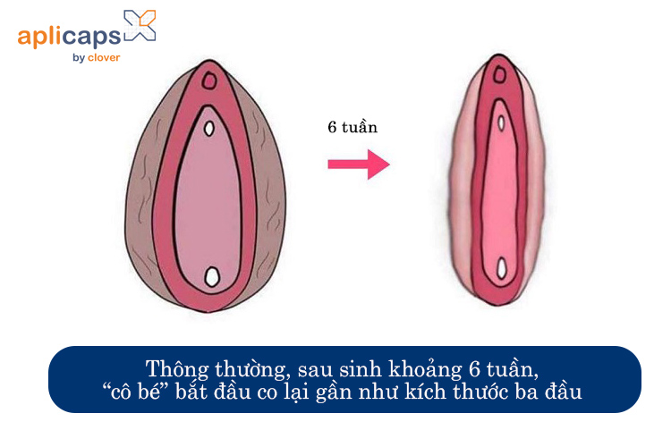 sau-khoang-6-tuan-am-dao-nho-lai-dan-nhu-ban-dau