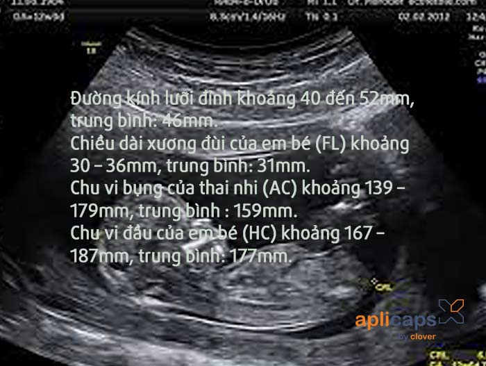 chỉ số siêu âm thai khi khỏe mạnh
