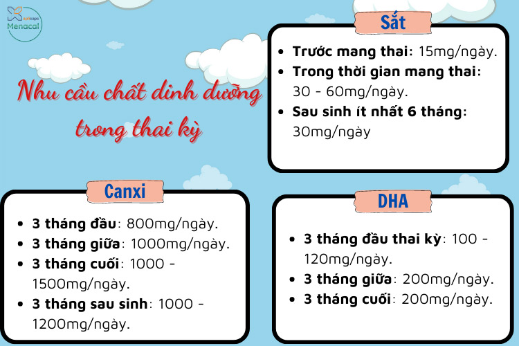 Nhu cầu chất dinh dưỡng trong thai kỳ