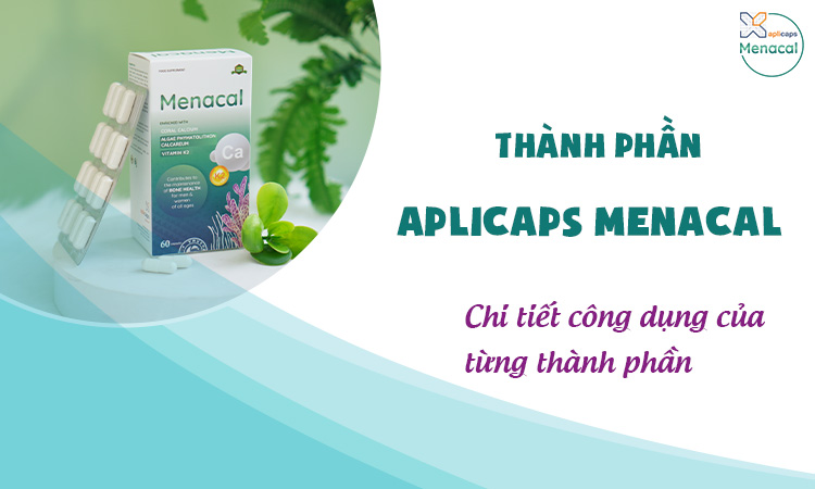 Thành phần Aplicaps Menacal