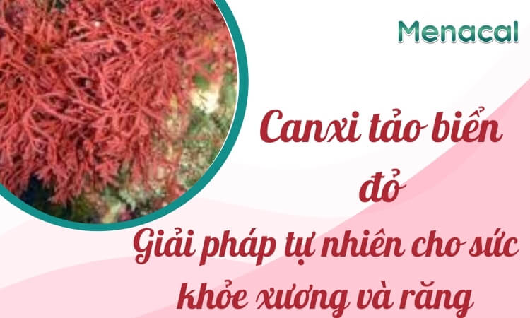 Canxi tảo biển đỏ: Giải pháp từ thiên nhiên cho sức khỏe xương và răng