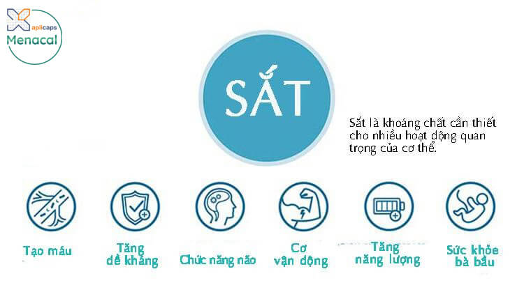 Sắt rất quan trọng với sức khỏe con người