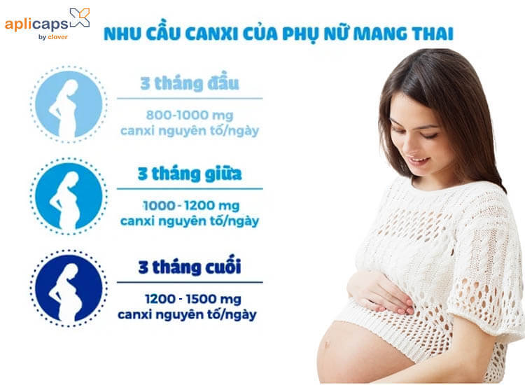 Nhu cầu canxi hàng ngày của bà bầu