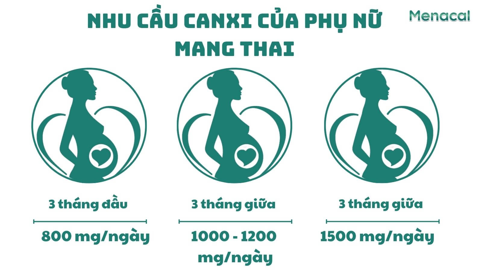 Nhu cầu canxi tăng dần khi càng về cuối thai kỳ