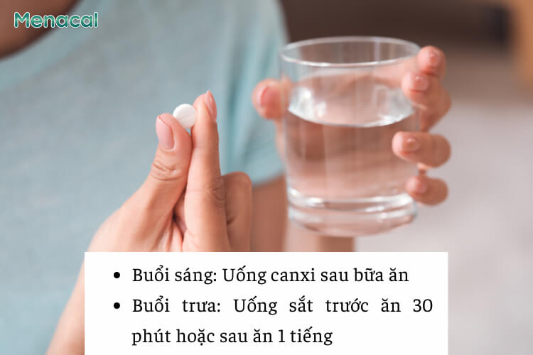 Lịch trình sử dụng sắt và canxi trong ngày