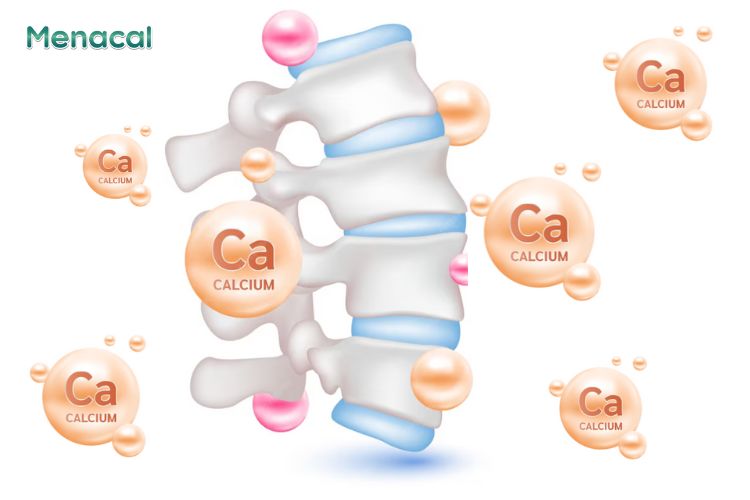 Canxi rất quan trọng đối với sức khỏe con người