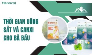 Thời gian uống sắt và canxi cho bà bầu