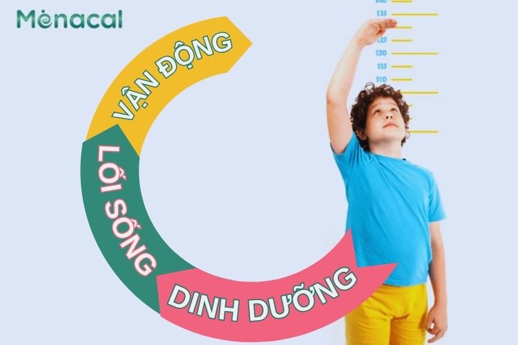 Lối sống, dinh dưỡng, vận động ảnh hưởng trực tiếp đến phát triển chiều cao