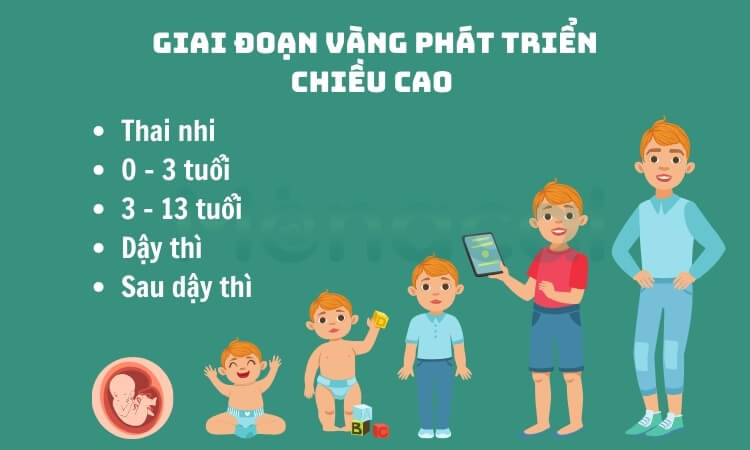 Giai đoạn phát triển chiều cao vượt trội