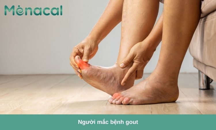 Người bị bệnh gout không nên ăn tôm.
