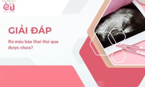 ra-mau-bao-thai-thu-que-duoc-chua