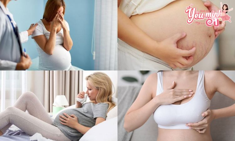 Khi mang thai, cơ thể và tâm lý của người phụ nữ thay đổi nhanh chóng